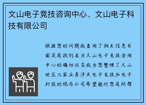 文山电子竞技咨询中心、文山电子科技有限公司